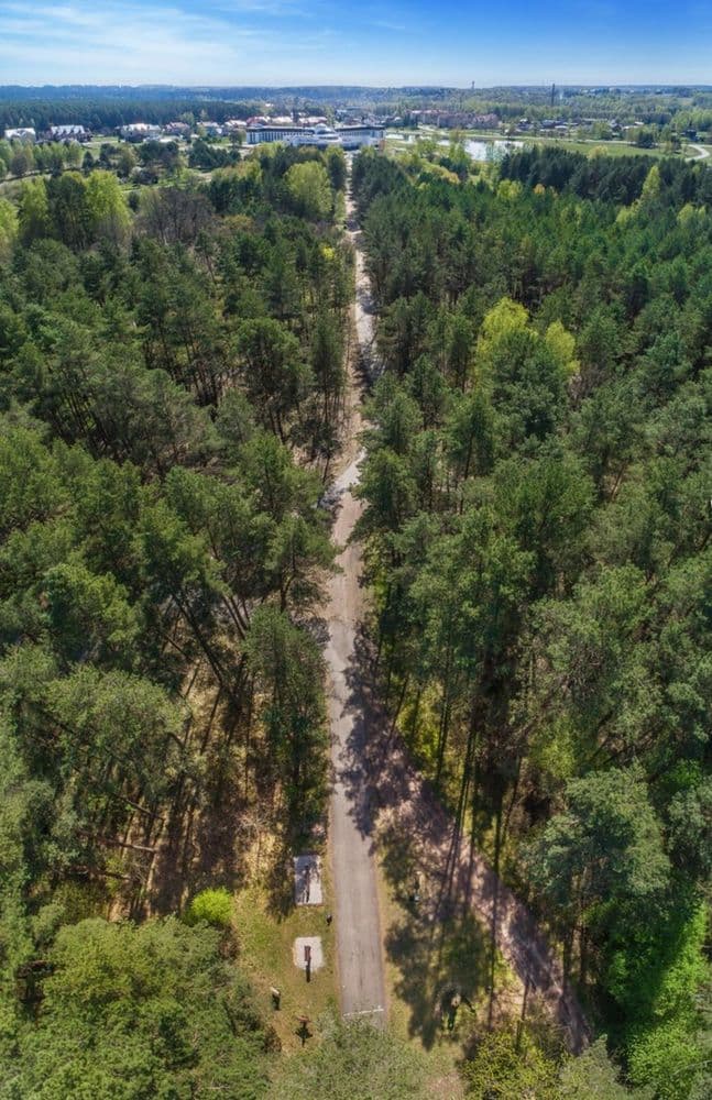 Žvėrinčiaus miško takas