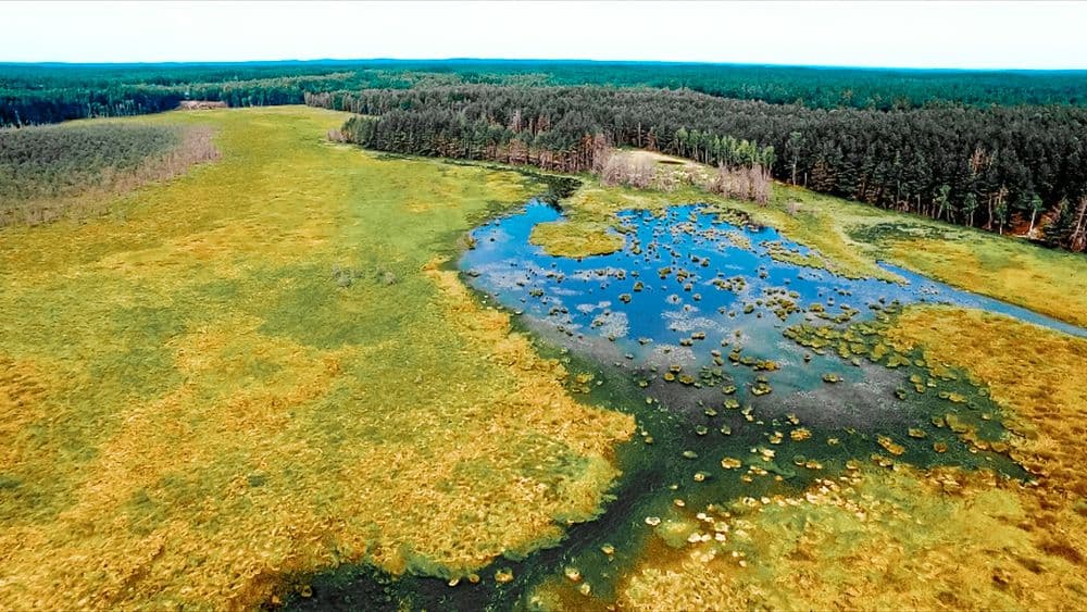 Čepkelių pažintinis takas