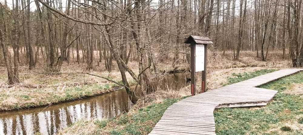 Gaujos mokomasis takas #2