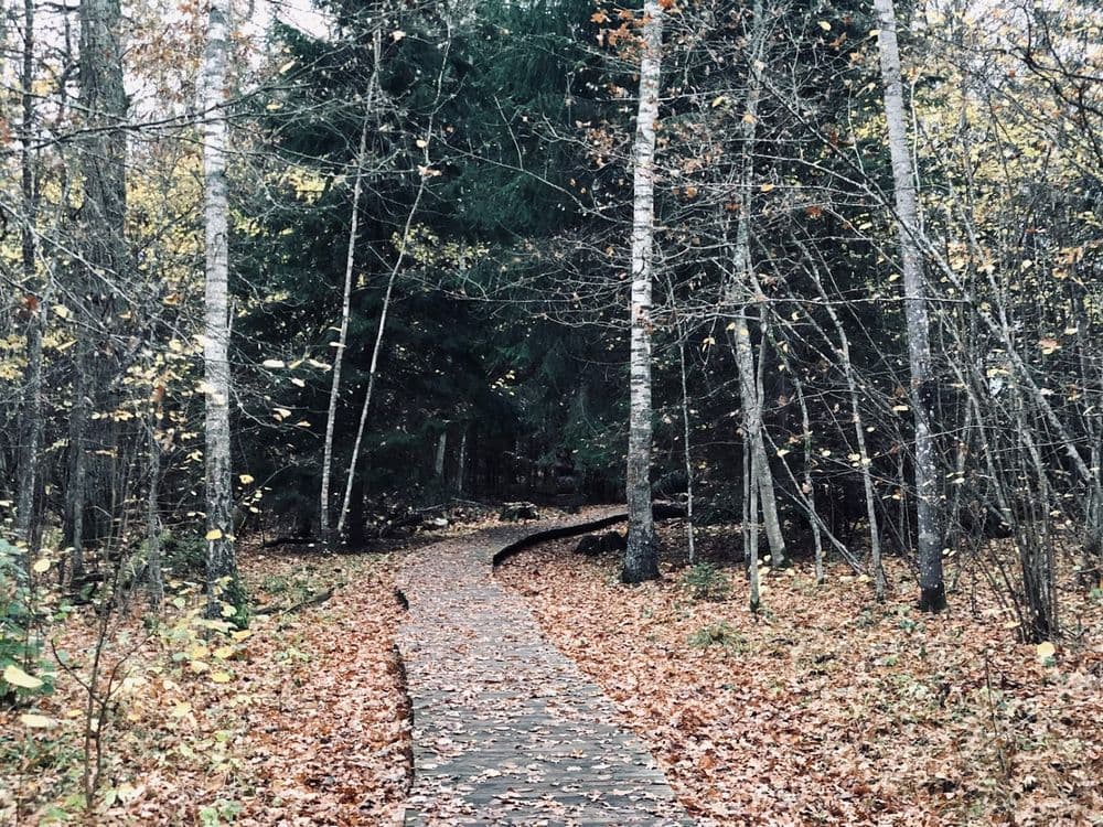 Dūkštų ąžuolyno pažintinis takas