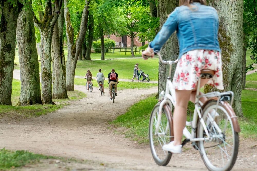 Birštono Vytauto parkas #5