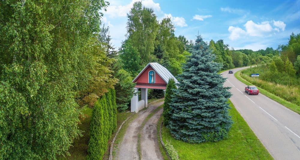 Darsūniškio miestelio vartai #5