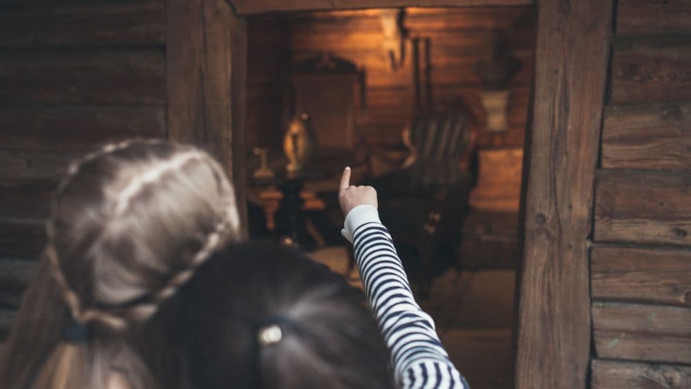 A. Baranausko klėtelė #5