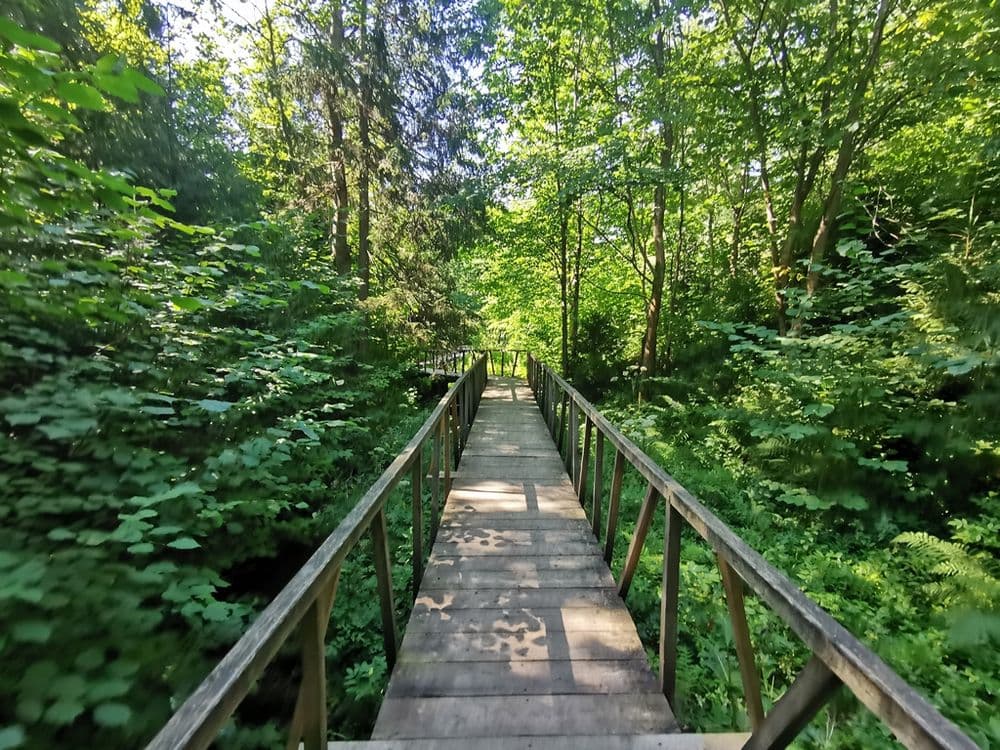 Lopaičių pažintinis takas