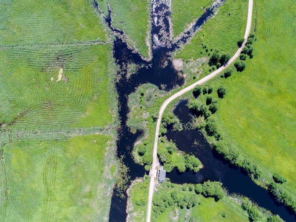 Tulkiaragės pažintinis takas