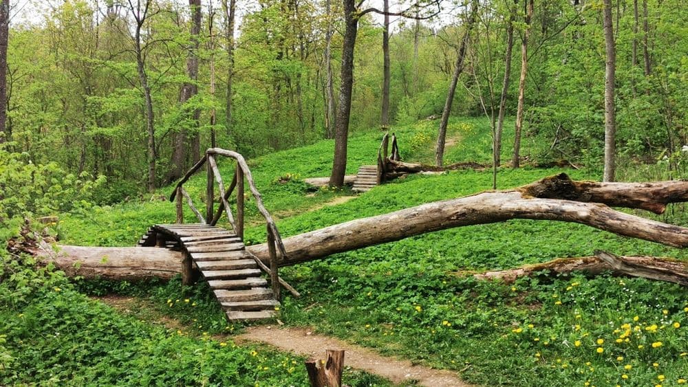 Jurkiškio upelio pažintinis takas #5