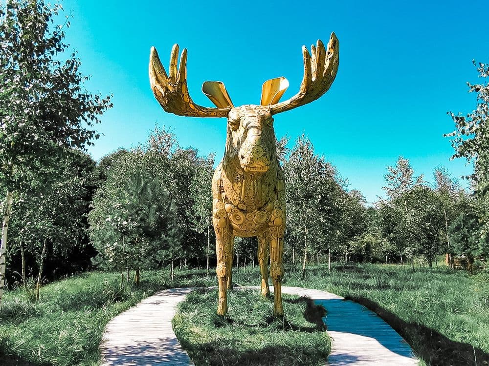 Auksinio elnio dvaras