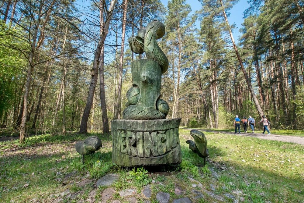 Žvėrinčiaus miško takas #2