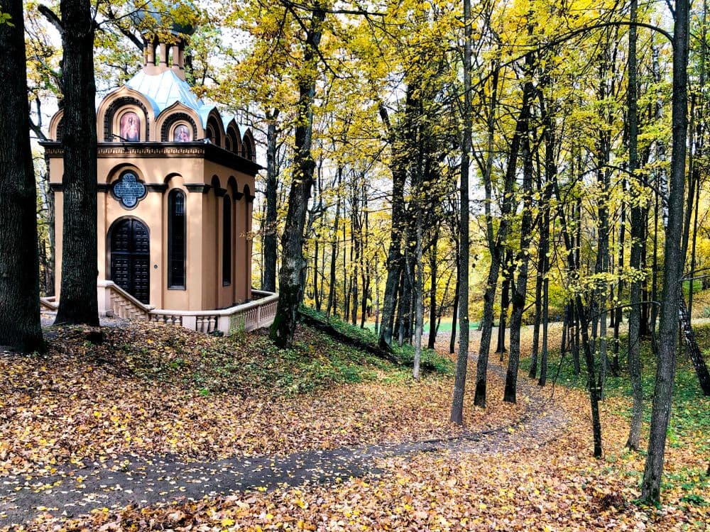 Markučių parkas #2